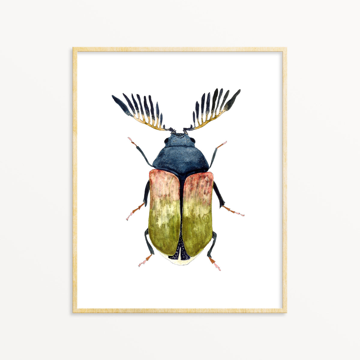 Beetle No. 7