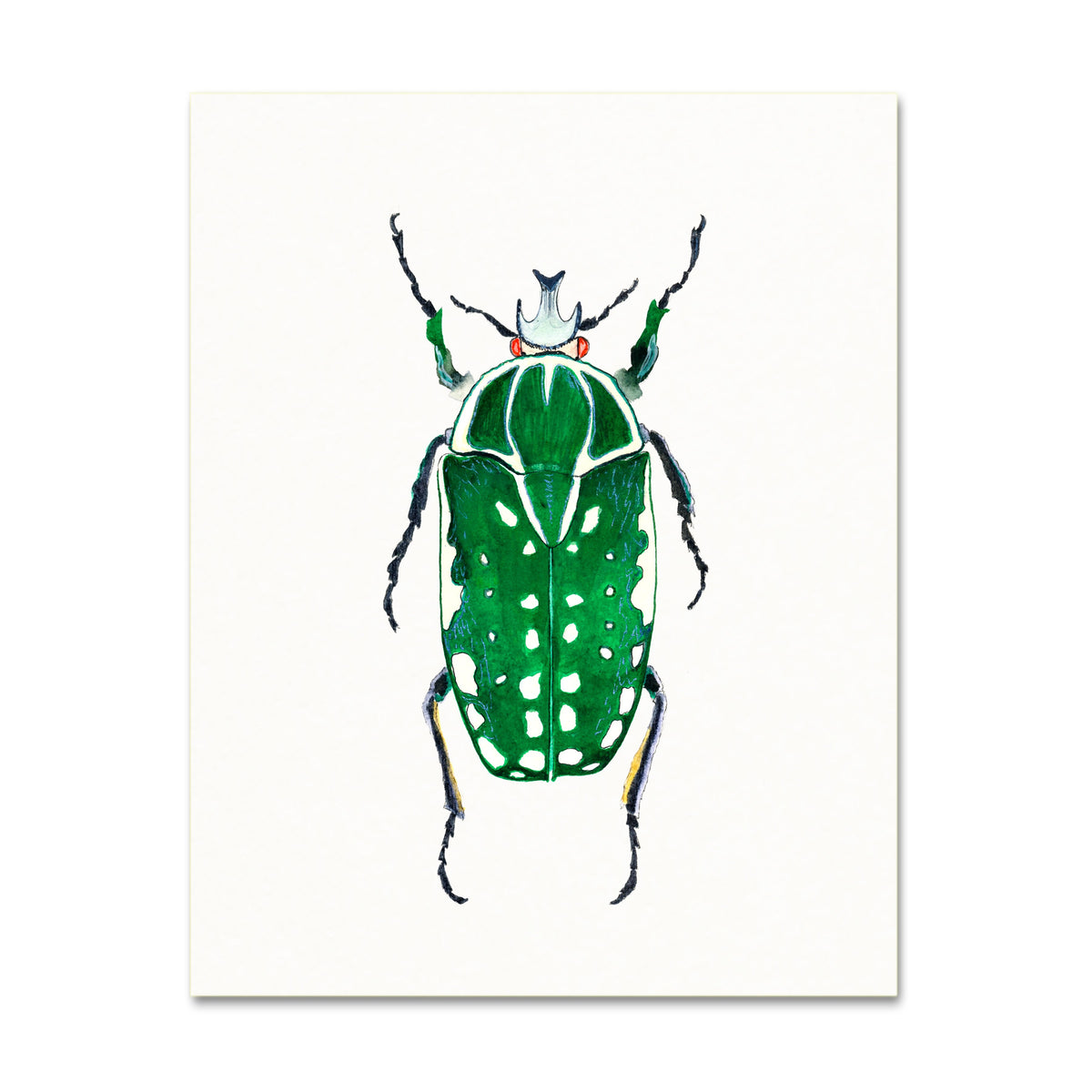 Beetle No. 6