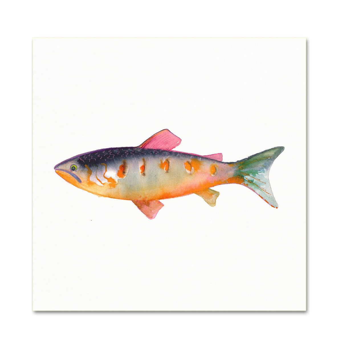 Coastal Wall Art. Watercolor Trout.