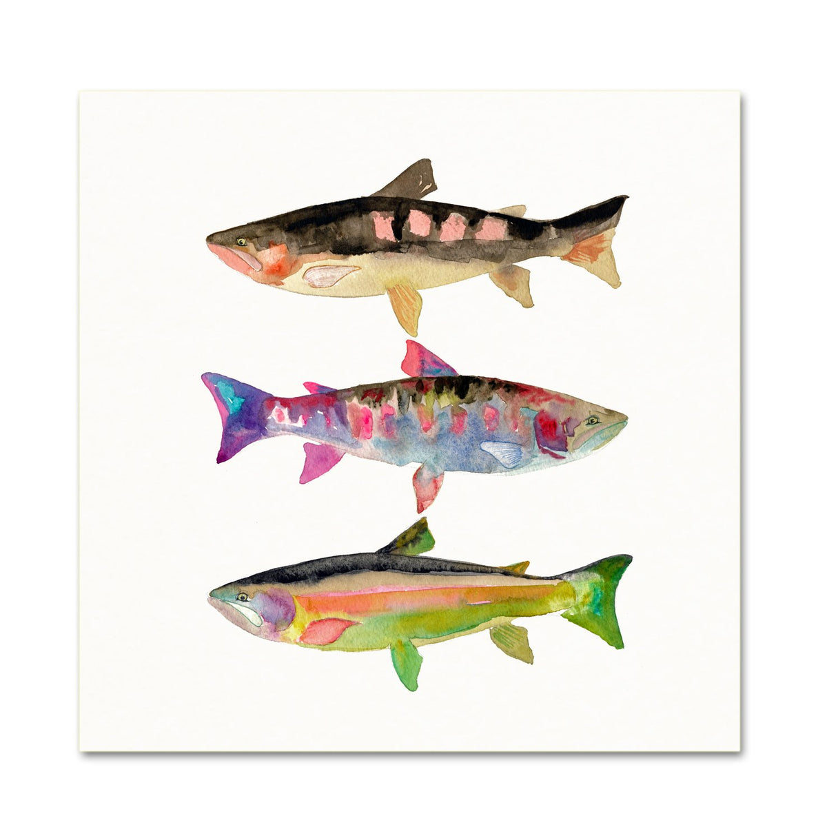 Coastal Wall Art. Watercolor Trout.