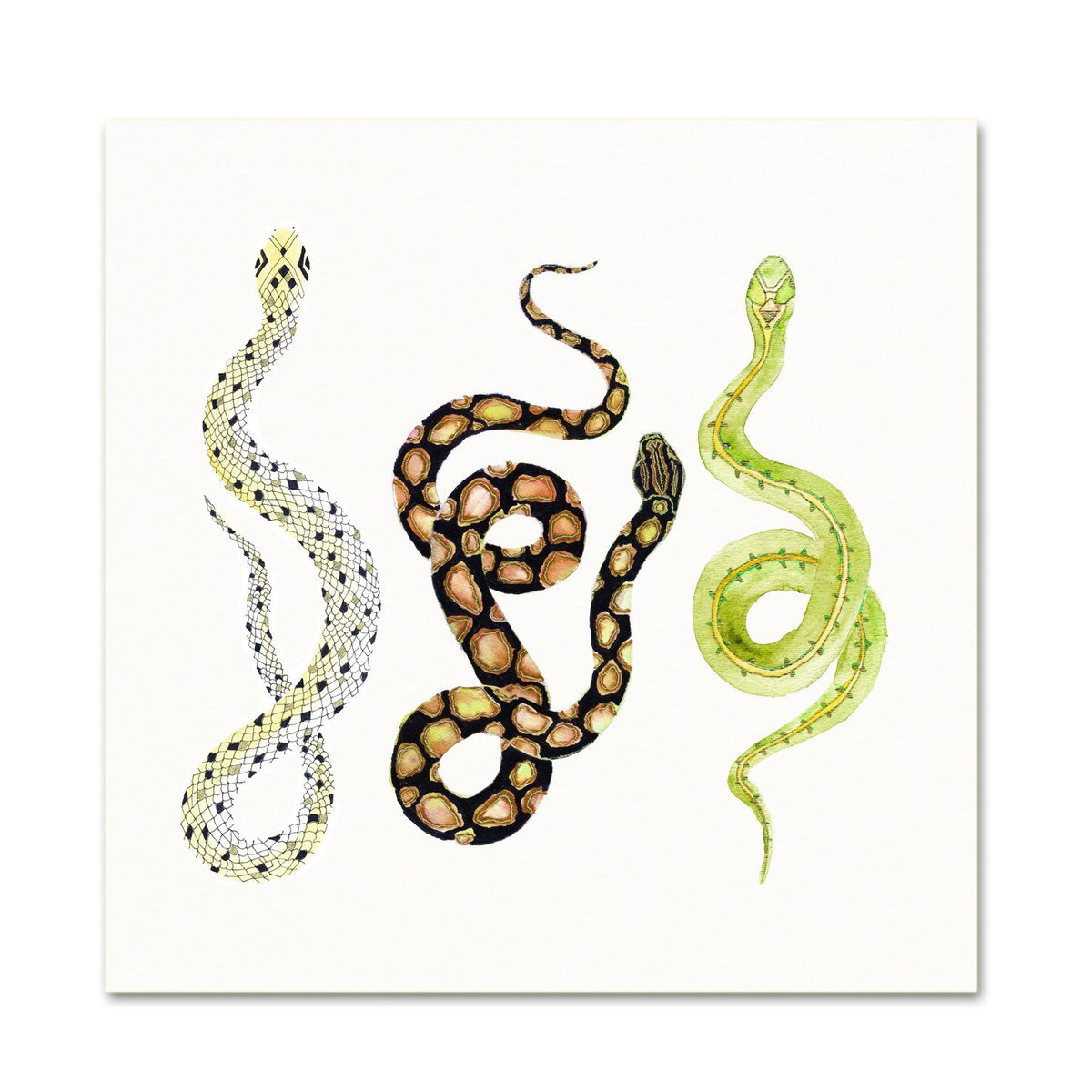 Baby Shower Gift. Watercolor Snake Art.