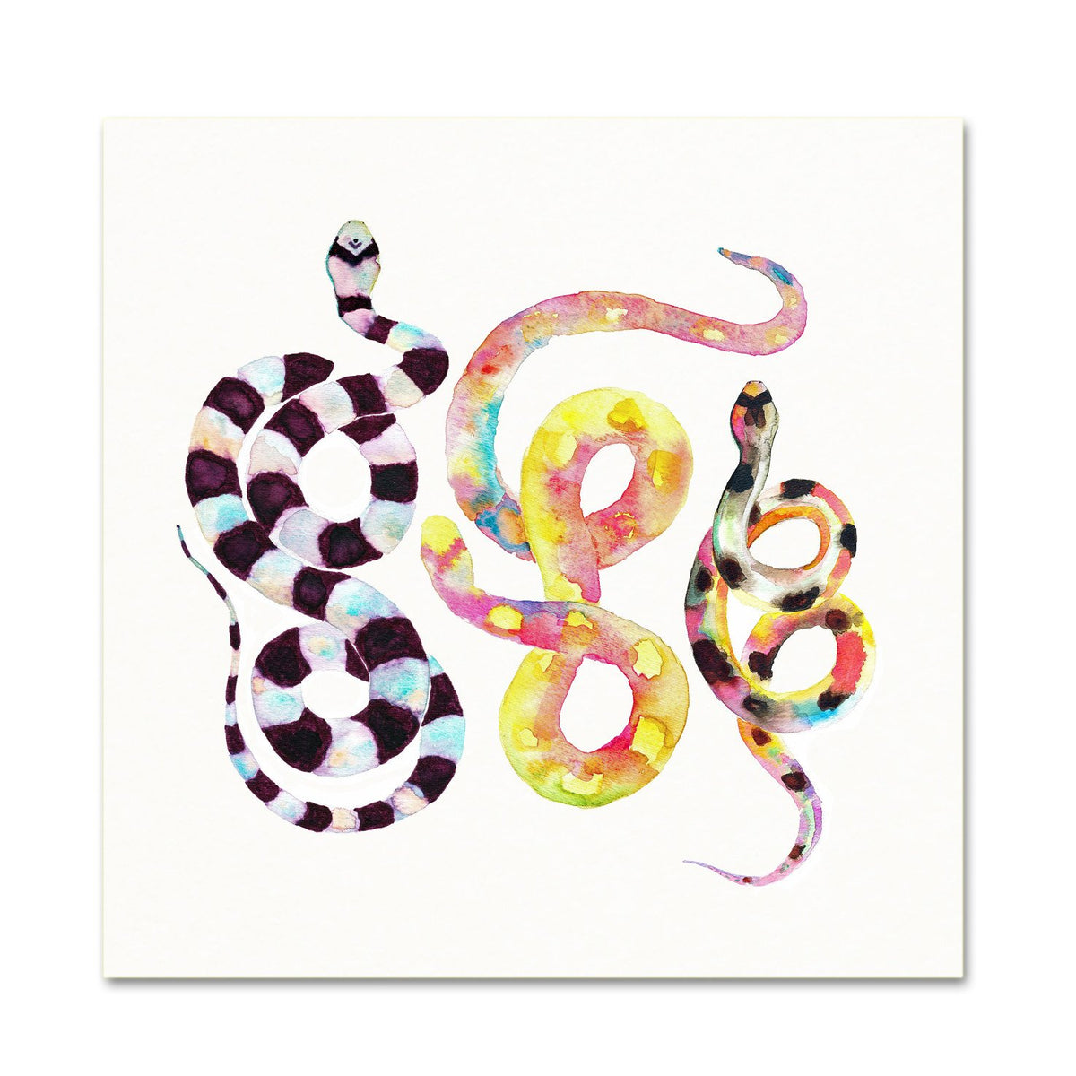 Baby Shower Gift. Watercolor Snake Art.