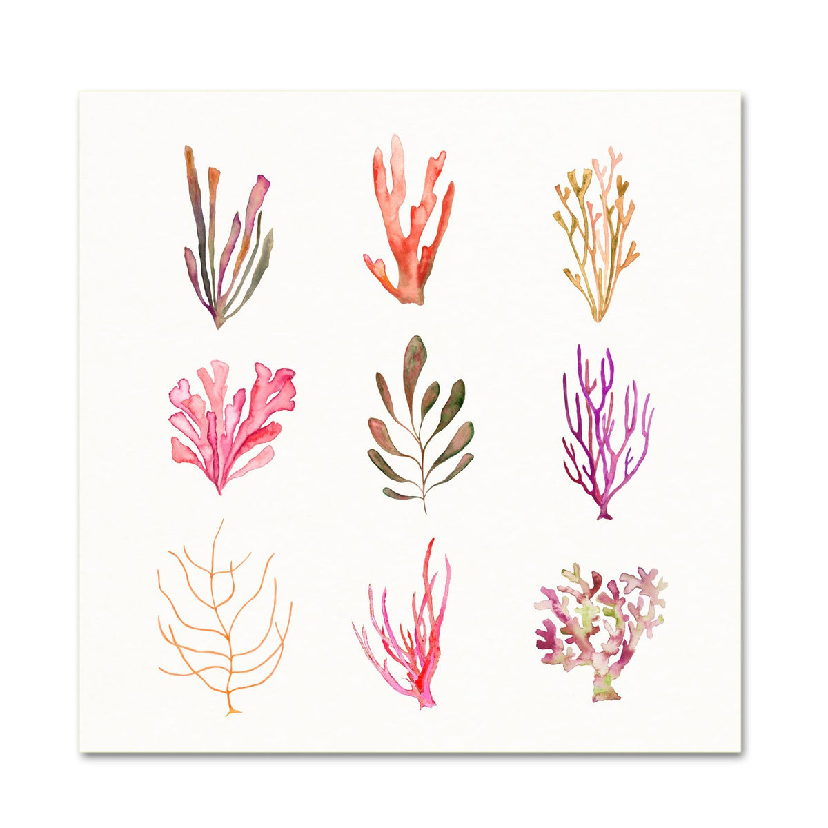 Coastal Wall Art. Watercolor Sea Life.