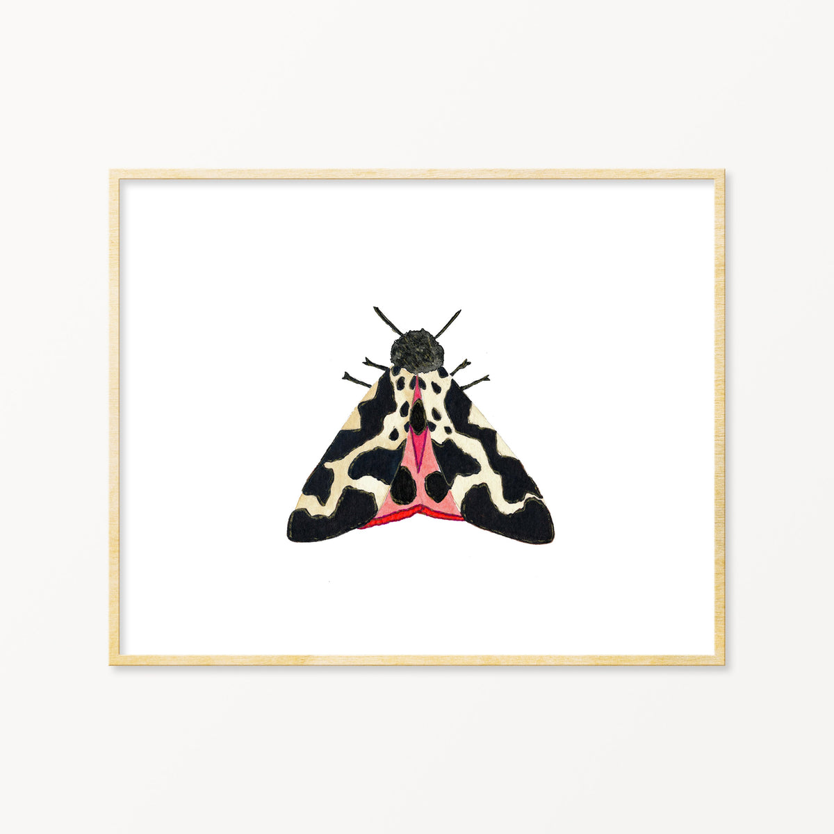 Moth No. 1