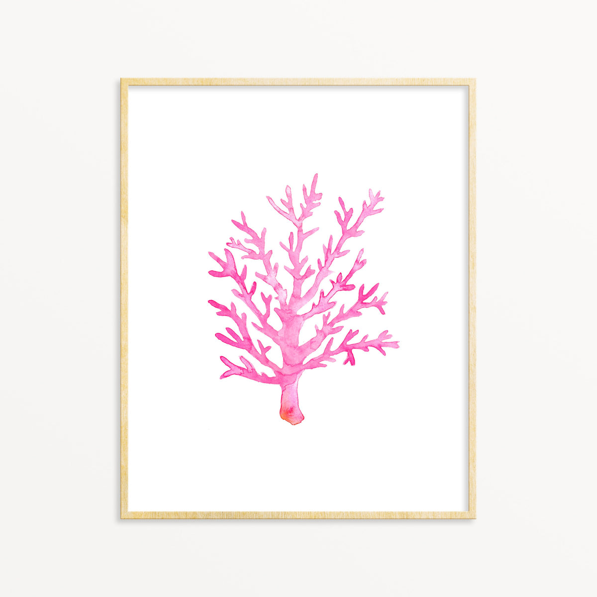 Pink Coral No. 1
