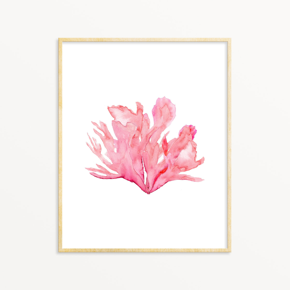 Pink Coral No. 3