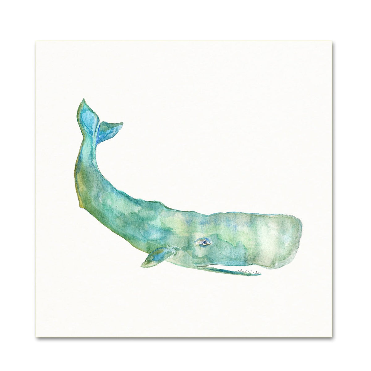 Coastal Wall Art. Watercolor Sea Life.